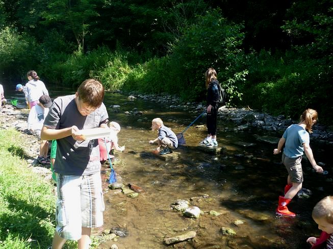 Bolharák a tésztaszűrőmben - patakozás a kismarosi Morgó-patakon 2011. június 25-én - Fotó: Kovács Gabriella